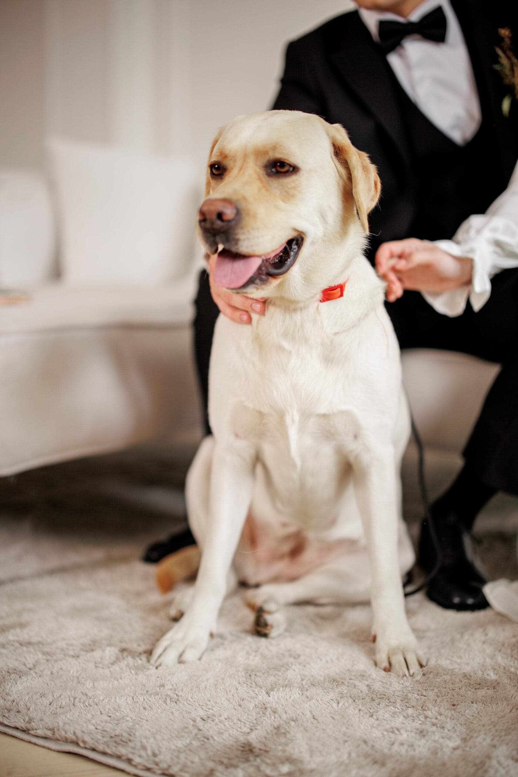 An intimate ceremony where every glance felt unhurried and sincere.
