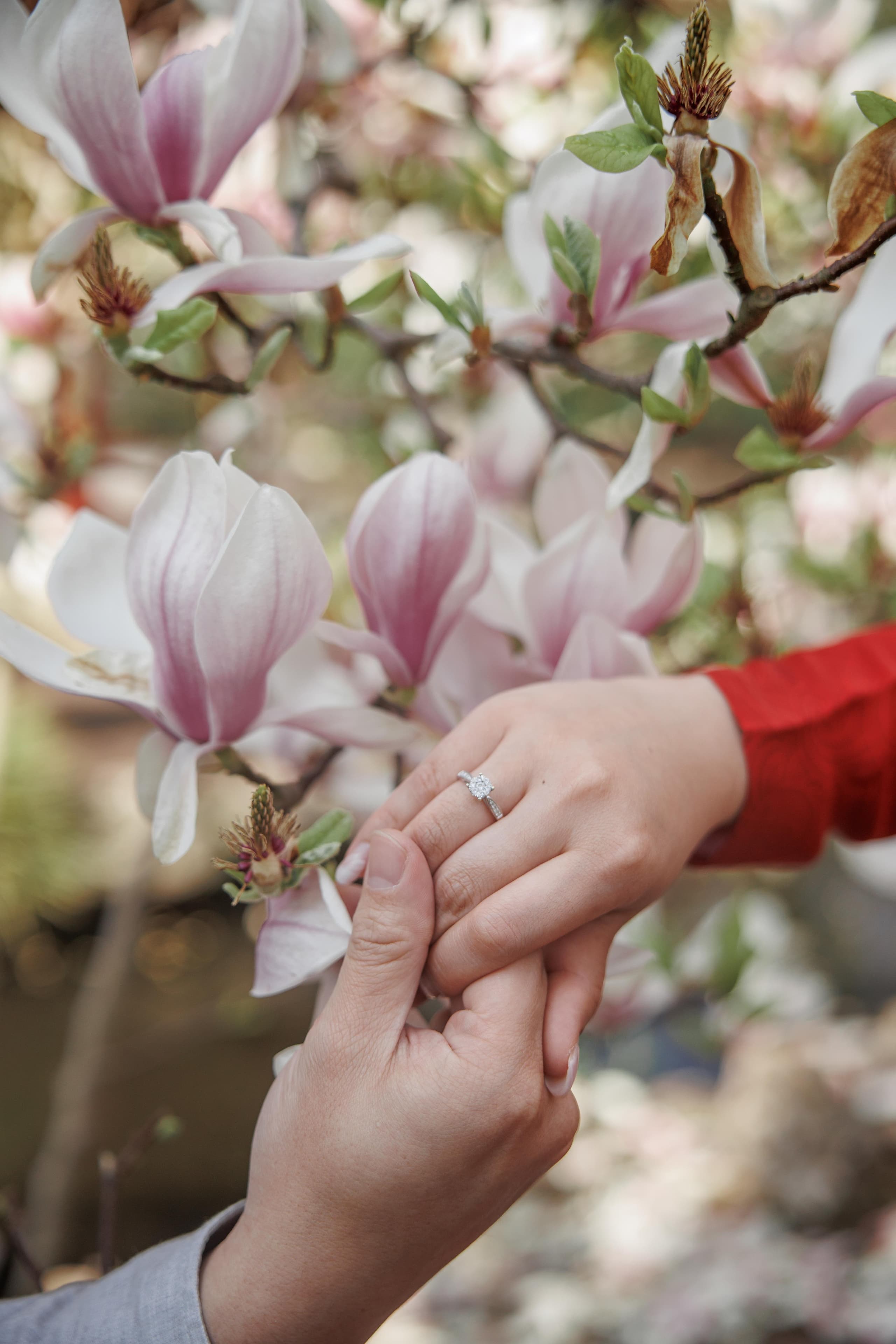Liefde in bloei in Hortus Groningen